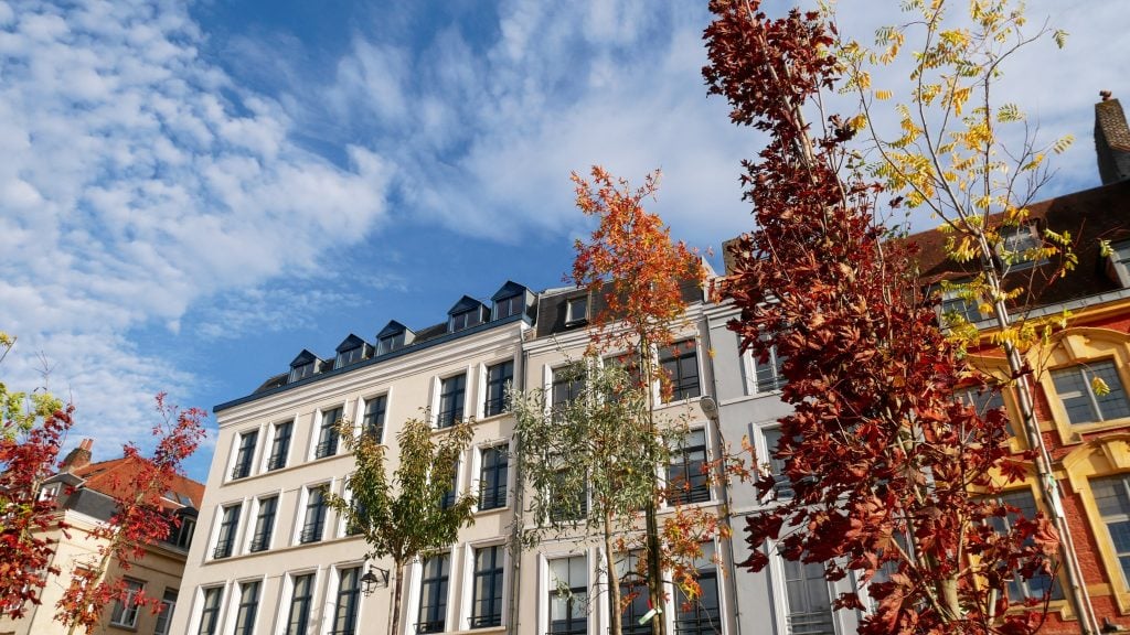 ESN Lille : photo des immeubles de Lille avec des arbres couleur automne 